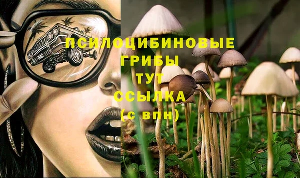 дживик Нея