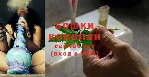 дживик Нея