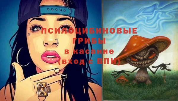 PSILOCYBIN Гусиноозёрск